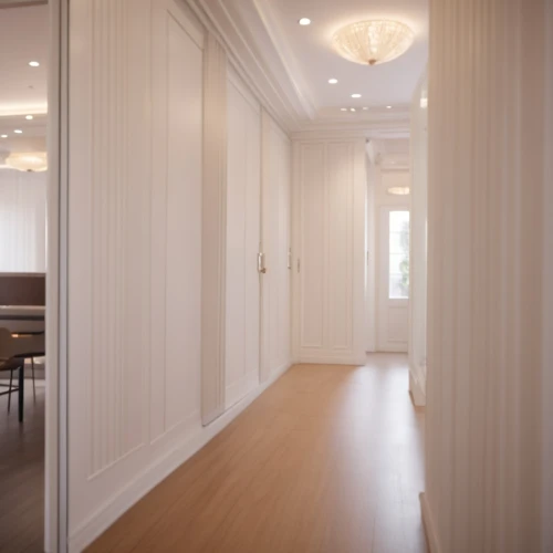 wainscoting,hallway space,millwork,hardwood floors,hallway,architrave,luxury home interior,mudroom,danish room,baseboards,mouldings,dining room,white room,rovere,home interior,cabinetry,enfilade,architraves,3d rendering,laminated wood,Photography,General,Cinematic