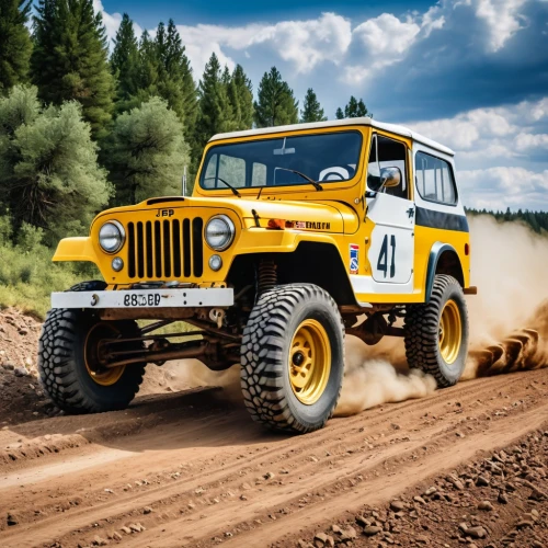 jeep gladiator rubicon,willys jeep mb,jeep rubicon,off road toy,bfgoodrich,off-road vehicles,off-road car,jeep,off-road vehicle,willys jeep,off road vehicle,off-road outlaw,offroad,scrambler,off road,wrangler,wranglings,jltv,scx,four wheel drive,Photography,General,Realistic