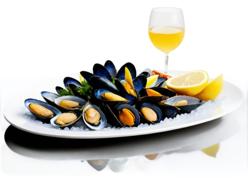 grilled mussels,moules,mussels,mejillones,mussel,bouillabaisse,pescatore,pescatori,moule,shellfish,vendace,derivable,sea food,catering service bern,mossel,auslese,seafood platter,sumann,manzanilla,oester,Illustration,Realistic Fantasy,Realistic Fantasy 23