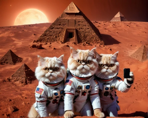 mission to mars,red tabby,abyssinians,mogwai,mysterians,sphinxes,starfox,tomcats,georgatos,kats,vintage cats,spacefarers,explorers,pussycats,moondogs,catterns,martians,cat family,cat pageant,cats,Illustration,Realistic Fantasy,Realistic Fantasy 02