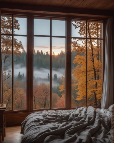 bedroom window,coziness,window view,winter morning,sleeping room,the cabin in the mountains,winter window,coziest,mountain sunrise,window curtain,morning mist,warm and cozy,morning light,beautiful morning view,foggy landscape,open window,cozier,wood window,autumn morning,cozily,Photography,General,Realistic