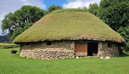 thatched roof,thatch roof,iron age hut,thatched cottage,straw hut,grass roof,round house,round hut,thatched,thatching,thatch roofed hose,gable field,farm hut,traditional house,greenhut,straw roofing,thatch umbrellas,cooling house,wisgerhof,landhaus,Conceptual Art,Daily,Daily 06