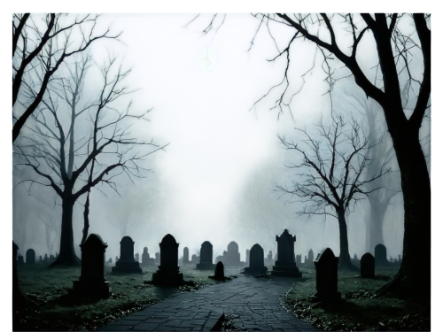 halloween background,graveyards,covens,burial ground,graveyard,tombstones,old graveyard,gravediggers,cemeteries,grave stones,burials,haunted forest,gravestones,forest cemetery,graveside,interment,friedhof,grave light,stargrave,sepulcher,Illustration,Black and White,Black and White 08