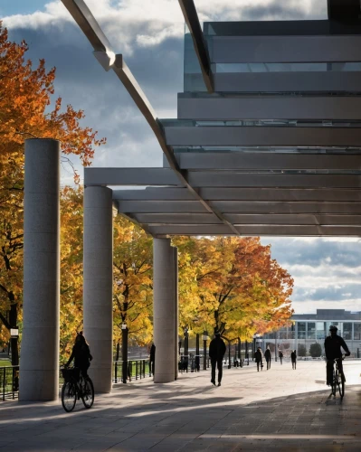 bicycle path,ubc,bike path,esplanades,bikeway,bicycle lane,sfu,evagora,epfl,bikeways,esplanade,walkway,safdie,autostadt wolfsburg,njitap,bjarke,darmstadtium,bicycles,cycleway,mvrdv,Illustration,Black and White,Black and White 33