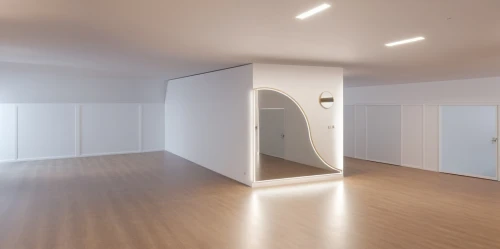 hallway space,walk-in closet,search interior solutions,cleanrooms,empty room,modern room,rental studio,wardrobes,habitaciones,mudroom,daylighting,white room,large space,3d rendering,closets,hallway,photography studio,interior modern design,empty interior,room door,Photography,General,Realistic