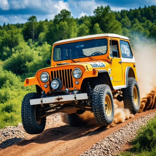 jeep gladiator rubicon,willys jeep mb,jeep rubicon,jeep,willys jeep,off-road vehicles,off-road outlaw,off road,jeepster,offroad,off road vehicle,off-road car,jeeps,wranglings,off road toy,off-road vehicle,wrangler,yj,bfgoodrich,gasser,Photography,General,Realistic