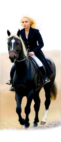 trumpeldor,gallopin,horseman,djo,trumpler,zigman,galloped,horseback,galloppa,lusitanos,weehl horse,galloping,equestrian,shadowfax,dressage,superhorse,reinprecht,potus,neighouring,trumpy,Conceptual Art,Daily,Daily 05