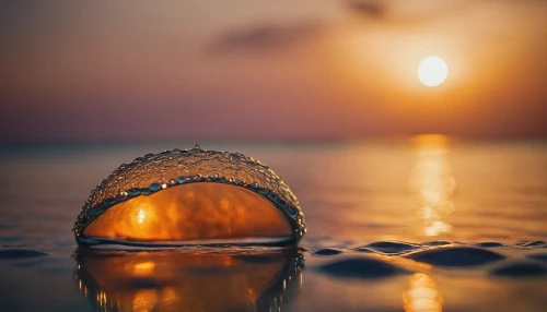 crystal ball-photography,sun reflection,lensball,glass sphere,glass ball,pilgrim shell,sun and sea,splash photography,beach shell,lens reflection,sun,water droplet,full hd wallpaper,reflector,message in a bottle,water drop,reflection in water,setting sun,glass orb,sea shell,Photography,General,Cinematic