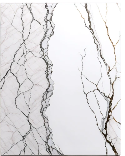 marble texture,marble pattern,marble painting,marble,neurons,angiograms,veining,neurite,capillaries,nitinol,angiography,vasculature,marbleized,interneurons,hyphae,breccia,plant veins,angiographic,quartzite,wall plaster,Illustration,Vector,Vector 02
