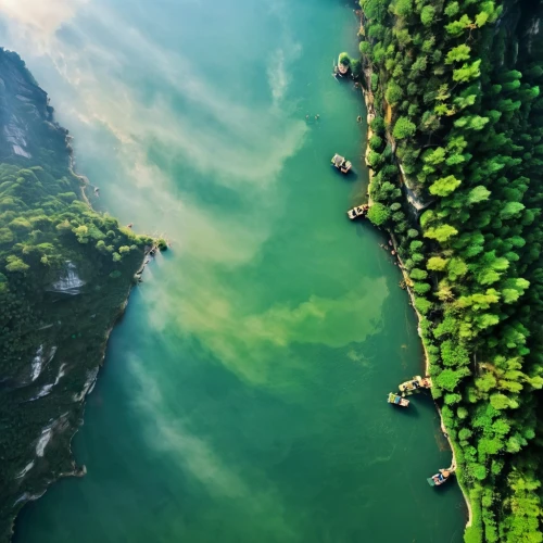 green waterfall,green trees with water,green water,shaoming,plitvice,guizhou,floating over lake,king decebalus,rope bridge,eutrophication,emerald sea,underwater landscape,moss landscape,green wallpaper,decebalus,take-off of a cliff,lake lucerne,danube gorge,people fishing,tianchi,Photography,Black and white photography,Black and White Photography 03