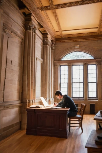 nypl,boston public library,writing desk,study room,reading room,archivists,girl studying,miniaturist,conservators,archivist,sorbonne,manuscripts,bibliographer,conservator,carrels,bureau,carrel,bibliographical,treasury,old library,Illustration,Realistic Fantasy,Realistic Fantasy 30