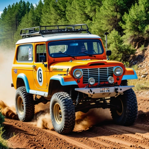 jeep gladiator rubicon,landcruiser,jeep rubicon,uaz,toyota fj cruiser,unimog,jimny,off road toy,land rover,overlanders,willys jeep mb,defender,wranglings,jeep,landrover,offroad,landy,off road vehicle,bfgoodrich,scrambler,Photography,General,Realistic