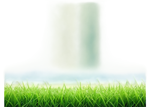 artificial grass,aaaa,green wallpaper,wheatgrass,block of grass,golf course background,green,green background,green grass,grass golf ball,cleanup,grass,golf course grass,aa,aaa,green lawn,transparent background,blur office background,bentgrass,halm of grass,Illustration,Realistic Fantasy,Realistic Fantasy 29