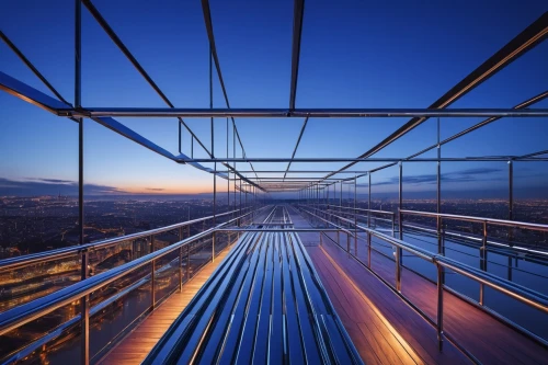 skywalk,skybridge,skywalks,skywalking,passerelle,the observation deck,observation deck,skyrail,guideways,steel scaffolding,footbridges,steel construction,skyways,footbridge,structural steel,moving walkway,balustraded,skyscapers,balustrades,sky train,Illustration,Realistic Fantasy,Realistic Fantasy 27