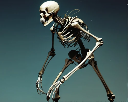 vintage skeleton,skeletal,skeleton,human skeleton,skelemani,skelly,skeletal structure,skeleltt,skelid,boneparth,mermaid skeleton,osteological,danse macabre,skeletonized,skelton,bone,boney,skeletons,spookiest,bones,Conceptual Art,Fantasy,Fantasy 06