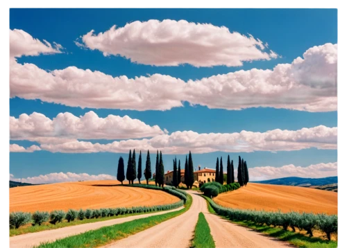 toscana,toscane,tuscany,cypresses,virtual landscape,tuscan,campagna,strade,montalcino,pienza,cloudstreet,landscape background,panoramic landscape,road,landscape,toscano,sand road,crossroad,rural landscape,toscani,Conceptual Art,Sci-Fi,Sci-Fi 29