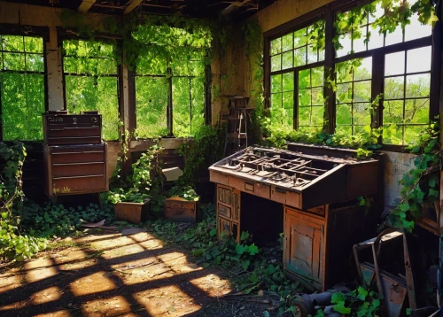 wooden windows,kitchen garden,insect hotel,garden shed,greenhouse,abandoned place,wood window,sunroom,old windows,insect house,abandoned room,abandoned places,french windows,dandelion hall,open window,windows,herbology,vegetable garden,bee farm,vintage kitchen,Illustration,Abstract Fantasy,Abstract Fantasy 17