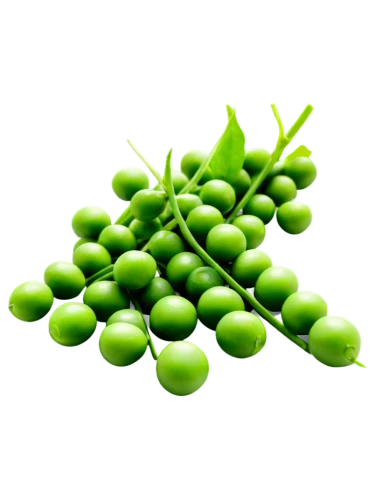 green soybeans,pea,patrol,green grapes,pea puree,peas,fragrant peas,aaaa,green,edamame,green grape,aaa,chlorella,cleanup,greenie,greed,defend,greeno,asparagales,green paprika,Conceptual Art,Fantasy,Fantasy 16