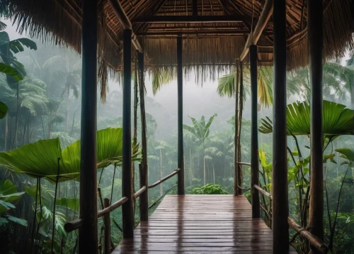 rainforest,rainforests,tropical forest,tropical jungle,rain forest,bamboo curtain,water mist,vietnam,amazonica,kerala,tropical house,costa rica,rain shower,banya,cabana,neotropical,bali,vanuatu,ubud,tropical greens,Art,Artistic Painting,Artistic Painting 42