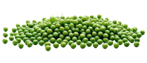 spring onion,aaa,spring onions,aaaa,patrol,wheatgrass,houseleek,cactus digital background,broccoli sprouts,scallions,green asparagus,sprouts,chloropaschia,wheat grass,green,asparagaceae,allium,aa,green wallpaper,defend,Conceptual Art,Oil color,Oil Color 18