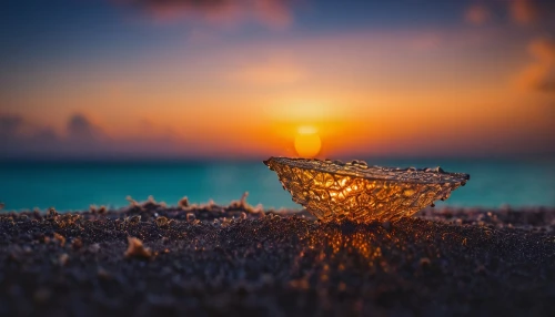 flower in sunset,bokeh,maldivian,old wooden boat at sunrise,crystal ball-photography,maldives,full hd wallpaper,maldivian rufiyaa,hd wallpaper,beach shell,tulum,cancun,sombrero,bula,ocean paradise,exuma,beach umbrella,sun,caribbean sea,splash photography,Photography,General,Fantasy