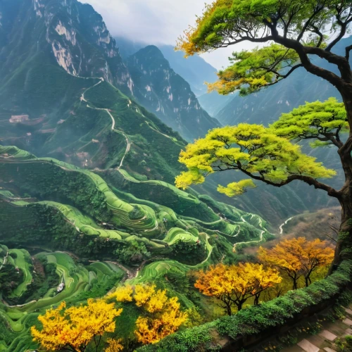 mountainous landscape,ha giang,rice terrace,mountain landscape,huangshan mountains,huangshan,mountain slope,green landscape,japanese mountains,the valley of flowers,yangshao,nature wallpaper,rice fields,rice terraces,mountain pasture,yunnan,landscape background,nature landscape,hushan,yellow mountains,Illustration,American Style,American Style 03