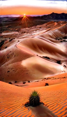 libyan desert,desert desert landscape,desert landscape,capture desert,deserto,sahara desert,namib desert,the desert,gobi desert,merzouga,argentina desert,sand dunes,sahara,dune landscape,desert,semidesert,crescent dunes,namib,benmerzouga,desertlike,Conceptual Art,Sci-Fi,Sci-Fi 17