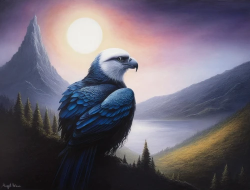 blue macaw,blue parrot,blue jay,hyacinth macaw,bluejay,blue and gold macaw,blue macaws,ravenclaw,blue and yellow macaw,macaw,falconet,blue parakeet,bird painting,macaw hyacinth,bluejays,blue moon,owl nature,beautiful macaw,blue bird,hedwig,Illustration,Abstract Fantasy,Abstract Fantasy 14