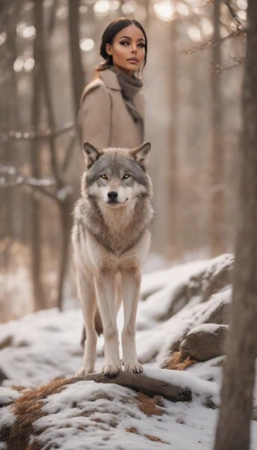wolfed,wolf couple,aleu,howling wolf,sled dog,wolfdog,malamutes,elkhound,wolffian,musher,mushing,dogsledding,canis lupus,inuit,wolfsthal,dog sled,girl with dog,wolfsangel,siberian,syberia,Photography,Natural