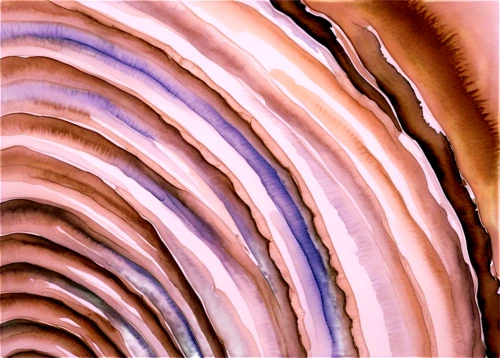 laminations,xylem,geological,corrugations,flysch,wave wood,dendrochronology,strata,metasedimentary,apical,sedimentary,otolith,phellinus,geoid,wave rock,sandstone,collybia,stratigraphy,unconformity,mineral,Illustration,Paper based,Paper Based 30