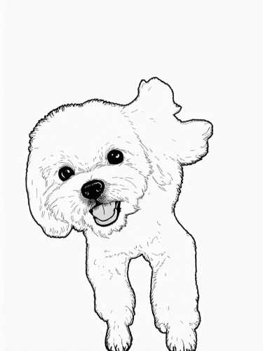 dog line art,bichon,dog drawing,huichon,dog illustration,line art animal,poodle,shih poo,cheerful dog,shoob,small dog,white dog,flapdoodle,dog cartoon,coloring pages,havanese,samoyed,my clipart,furcolo,coloring page,Design Sketch,Design Sketch,Black and white Comic