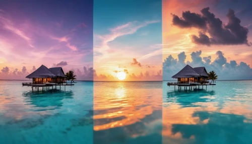 floating huts,over water bungalows,maldives,panoramas,maldive,stilt houses,splendid colors,over water bungalow,maldive islands,overwater,windows wallpaper,bora bora,paradises,maldives mvr,atolls,beautiful colors,landscape photography,cube stilt houses,triptychs,abstract backgrounds,Photography,Artistic Photography,Artistic Photography 07