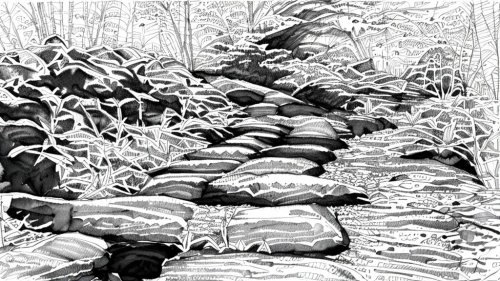 sandbags,turbidites,peleliu,streambeds,anticlinal,woodpile,streambed,drystone,gabions,bivouacs,anticline,cartoon forest,woodpiles,background with stones,pahoehoe,rockslide,trenches,mudstones,swampy landscape,mountain stone edge,Design Sketch,Design Sketch,Fine Line Art