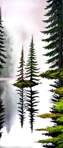 coniferous forest,spruce forest,fir forest,nature background,forest background,pine trees,forestland,forest lake,derivable,forest landscape,landscape background,swampy landscape,forests,spruce trees,fir trees,virtual landscape,forested,water scape,forest,evergreen trees,Illustration,American Style,American Style 12