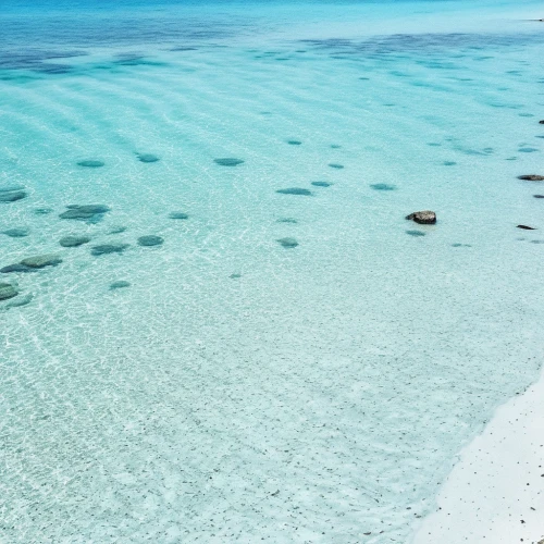 heron island,great barrier reef,bahamas,atoll from above,cook islands,atolls,maldive islands,maldives,fragrant snow sea,cayo largo island,abrolhos,maldive,overwater,exuma,abacos,bahamian,caribbean sea,sandbar,aitutaki,cayo largo,Photography,General,Realistic