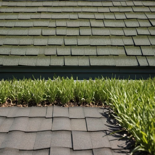 roof landscape,grass roof,house roofs,house roof,roof tiles,the old roof,reed roof,shingled,roofing,tiled roof,slate roof,thatch roofed hose,roof plate,roof panels,roof,shingles,straw roofing,the roof of the,roof tile,roofing work,Conceptual Art,Oil color,Oil Color 15