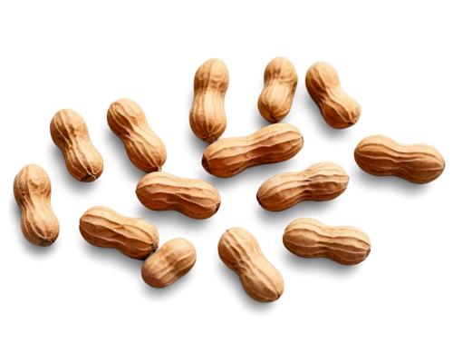 almond nuts,pine nuts,indian almond,almonds,unshelled almonds,walnuts,almond,groundnuts,pecans,cocoa beans,amandes,roasted almonds,phytoestrogens,groundnut,noise almond,betelnut,almond oil,walnut,walnut oil,mixed nuts,Art,Artistic Painting,Artistic Painting 32