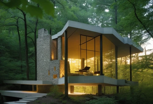forest house,house in the forest,cubic house,mid century house,forest chapel,modern house,cube house,timber house,modern architecture,cantilevered,prefab,dunes house,house in the mountains,fallingwater,bohlin,cantilevers,frame house,summer house,dreamhouse,lohaus,Photography,General,Realistic