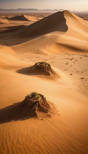 libyan desert,sahara desert,deserto,gobi desert,desert desert landscape,capture desert,sand dunes,the sand dunes,desert landscape,sahara,dune landscape,admer dune,crescent dunes,the gobi desert,desertification,liwa,san dunes,dunes,semidesert,merzouga,Photography,General,Natural