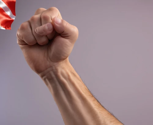 patriotism,u s,tosafists,usrc,fists,america,jamerica,patriotically,merca,usa,fist bump,patriotas,lulac,americanism,americanisms,ameri,fist,unionizing,americaone,allmerica,Photography,General,Realistic