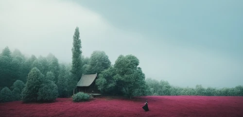 landscape red,pink grass,hossein,hosseinian,red place,photomanipulation,virtual landscape,red tree,hosseinpour,ampt,photo manipulation,landscape background,red roof,compositing,roof landscape,background design,3d background,home landscape,landscape rose,red earth,Photography,Artistic Photography,Artistic Photography 12