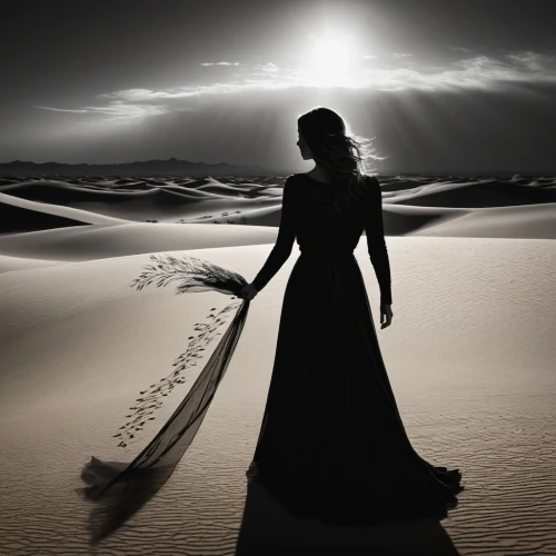 woman silhouette,girl on the dune,voile,sombras,sand rose,ballroom dance silhouette,guiding light, silhouette,veils,shadowlands,prophetess,enchantment,inanna,photo manipulation,hossein,shadowland,volou,christakis,moonshadow,forwardly,Photography,Fashion Photography,Fashion Photography 06