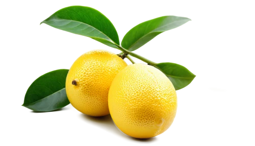 lemon background,lemon wallpaper,lemon tree,yellow fruit,lemon - fruit,lemon,mandora,poland lemon,lemons,lemon pattern,citron,yuzu,lemon half,lemon lemon,limoncello,yellow berry,starfruit,pear,yellow ball plant,limoniidae,Photography,Artistic Photography,Artistic Photography 02