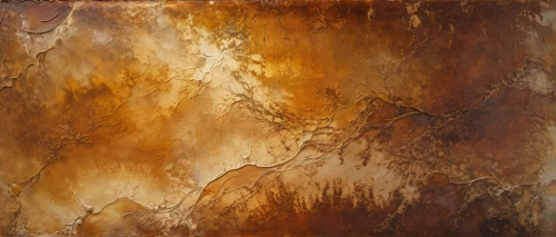 oxidation,oil stain,abstract gold embossed,oxidize,burnished,rusting,oxidization,peroxidation,ochres,rusted,lascaux,rusty door,molten metal,corten steel,oxidising,coppery,burning tree trunk,abstract painting,ochre,abstract background