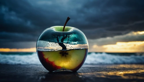 crystal ball-photography,water apple,glass sphere,golden apple,apple design,splash photography,photo manipulation,bowl of fruit in rain,still life photography,colorful glass,apple icon,glass jar,message in a bottle,apple logo,glass series,lensball,mystic light food photography,coconut water,encapsulated,beach background,Photography,Artistic Photography,Artistic Photography 05