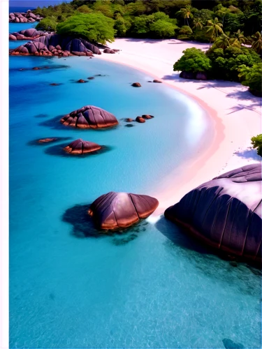 similan island,grenadines,similan,mustique,seychelles scr,praslin,seychellois,atolls,maldive,islands,maldive islands,roques,antilles,galapagos islands,tahaa,moorea,kei islands,widi islands,veligandu island,tahiti,Conceptual Art,Fantasy,Fantasy 01