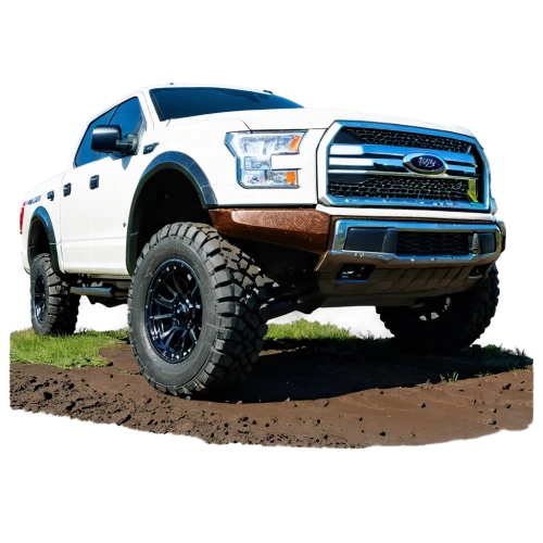 ford truck,ford,four wheel,lifted truck,tundras,tacomas,ecoboost,trucklike,raptor,dually,four wheel drive,compensator,bfgoodrich,whitewall tires,truckmaker,offroad,dmax,off road toy,monster truck,pickup truck,Art,Classical Oil Painting,Classical Oil Painting 23