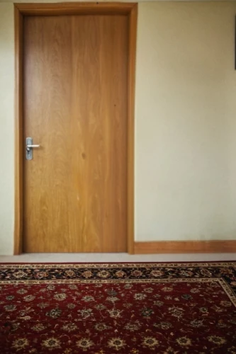 room door,doorway,open door,the door,door,in the door,anteroom,the threshold of the house,doorkeeper,mihrab,doorstop,main door,carpet,doorways,empty room,hotel hall,front door,entranceway,creepy doorway,doorjamb