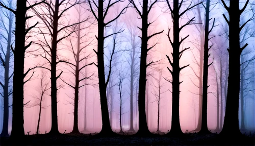 winter forest,birch trees,birch forest,row of trees,snow trees,cartoon forest,trees,tree grove,grove of trees,forest background,bare trees,aspens,forests,pine trees,the trees,poplars,arbres,the forests,forest,copses,Unique,3D,Isometric