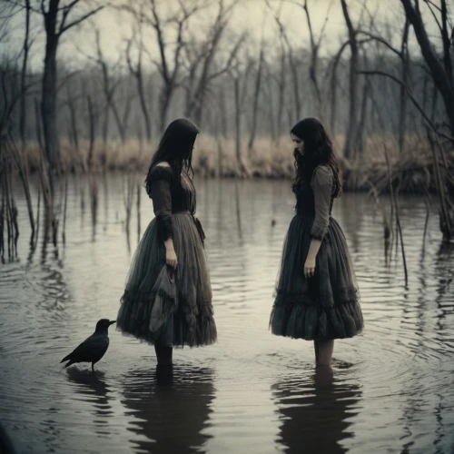 covens,pictorialism,unthanks,deviantart,mourning swan,cocorosie,black landscape,naiads,foundresses,songbirds,harmlessness,conceptual photography,priestesses,enchanters,swan lake,sorceresses,rhinemaidens,norns,mirror of souls,disappearances,Photography,Documentary Photography,Documentary Photography 02
